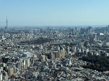 サンシャイン60展望台に投稿された画像（2026/1/18）