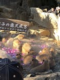 伊豆シャボテン動物公園に投稿された画像（2026/1/18）