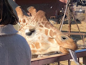 伊豆シャボテン動物公園に投稿された画像（2026/1/18）