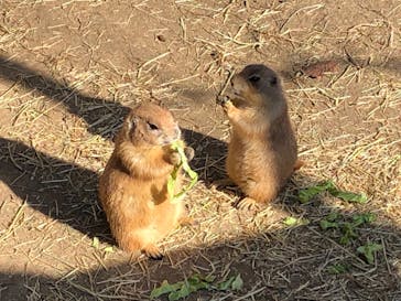 伊豆シャボテン動物公園に投稿された画像（2026/1/18）