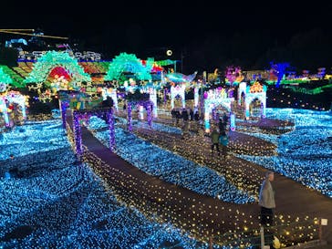伊豆高原グランイルミに投稿された画像（2026/1/17）