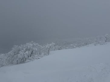 田沢湖アウトドアツアーに投稿された画像（2026/1/18）