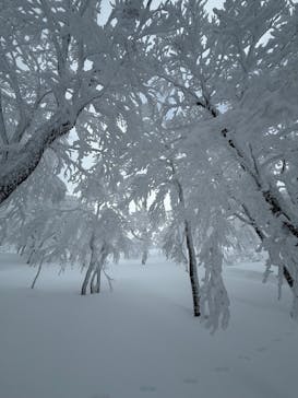 田沢湖アウトドアツアーに投稿された画像（2026/1/18）