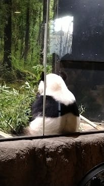 恩賜上野動物園に投稿された画像（2026/1/18）