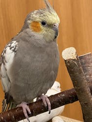 Moff animal cafe イオンモール名取店に投稿された画像（2026/1/18）