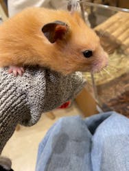 Moff animal cafe イオンモール名取店に投稿された画像（2026/1/18）