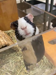 Moff animal cafe イオンモール名取店に投稿された画像（2026/1/18）