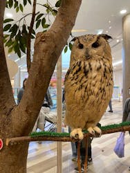 Moff animal cafe イオンモール名取店に投稿された画像（2026/1/18）