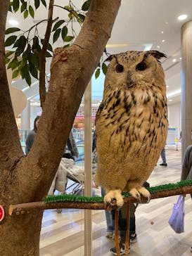 Moff animal cafe イオンモール名取店に投稿された画像（2026/1/18）