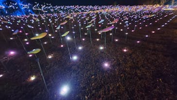 いばらきフラワーパークに投稿された画像（2026/1/18）