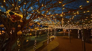 いばらきフラワーパークに投稿された画像（2026/1/18）