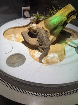 NIFREL（ニフレル）に投稿された画像（2026/1/18）