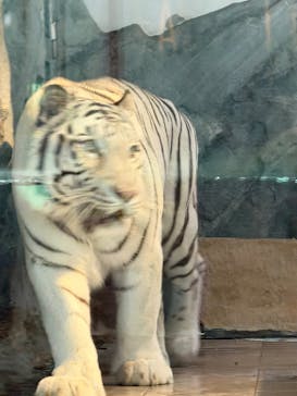 NIFREL（ニフレル）に投稿された画像（2026/1/18）