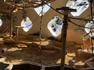 NIFREL（ニフレル）に投稿された画像（2026/1/18）