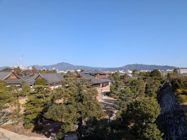 元離宮二条城に投稿された画像（2026/1/18）