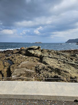 城崎マリンワールドに投稿された画像（2026/1/18）