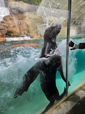 城崎マリンワールドに投稿された画像（2026/1/18）