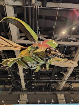 特別展「昆虫MANIAC」（名古屋会場）に投稿された画像（2026/1/18）