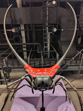 特別展「昆虫MANIAC」（名古屋会場）に投稿された画像（2026/1/18）