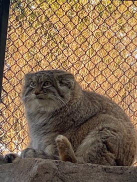 こども動物自然公園（埼玉県公園緑地協会）に投稿された画像（2026/1/18）