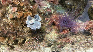 環境水族館アクアマリンふくしまに投稿された画像（2026/1/18）
