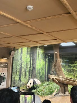 恩賜上野動物園に投稿された画像（2026/1/18）