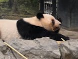 恩賜上野動物園に投稿された画像（2026/1/18）