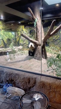 恩賜上野動物園に投稿された画像（2026/1/18）