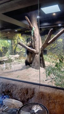 恩賜上野動物園に投稿された画像（2026/1/18）