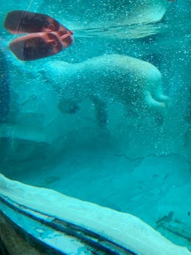 恩賜上野動物園に投稿された画像（2026/1/18）