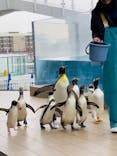 仙台うみの杜水族館に投稿された画像（2026/1/18）