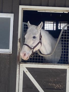 ノーザンホースパークに投稿された画像（2026/1/18）