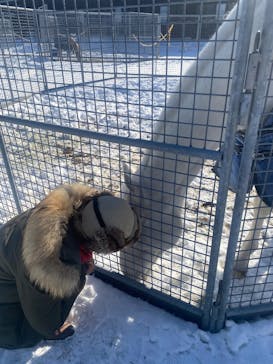 ノーザンホースパークに投稿された画像（2026/1/18）