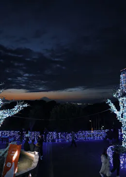 江の島シーキャンドルに投稿された画像（2026/1/18）