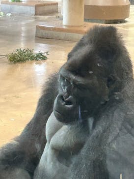 名古屋市東山動植物園に投稿された画像（2026/1/18）