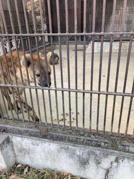 宇都宮動物園に投稿された画像（2026/1/18）
