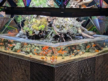 NARA KINGYO MUSEUMに投稿された画像（2026/1/18）