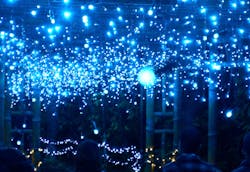 美らヤシパークオキナワ・東南植物楽園に投稿された画像（2026/1/18）