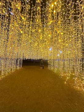 大阪城イルミナージュに投稿された画像（2026/1/18）