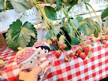 サンシャイン60展望台に投稿された画像（2026/1/18）