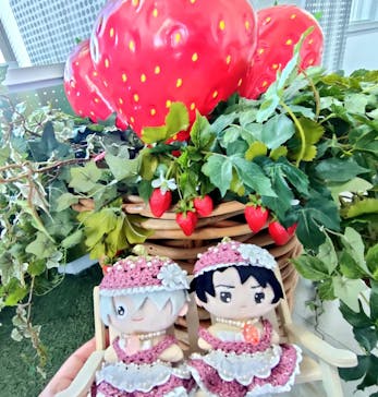 サンシャイン60展望台に投稿された画像（2026/1/18）