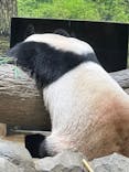 恩賜上野動物園に投稿された画像（2026/1/18）