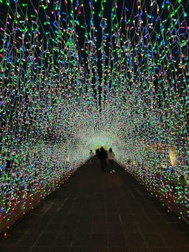 美らヤシパークオキナワ・東南植物楽園に投稿された画像（2026/1/18）