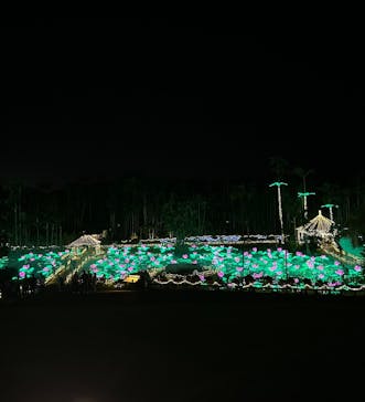 美らヤシパークオキナワ・東南植物楽園に投稿された画像（2026/1/18）