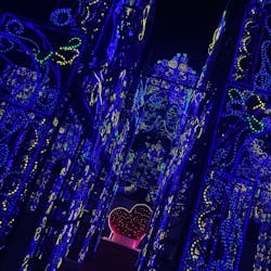 ラグーナテンボス ラグナシアに投稿された画像（2026/1/18）