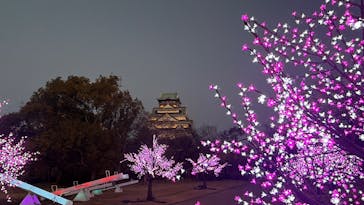 大阪城イルミナージュに投稿された画像（2026/1/18）
