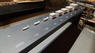 MYSTERY OF TUTANKHAMEN 体感型古代エジプト展に投稿された画像（2026/1/18）