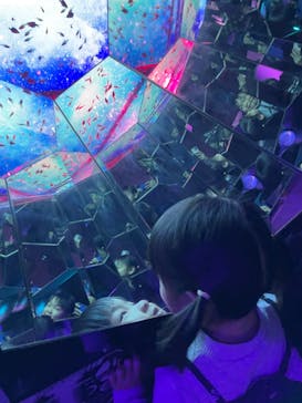 ひらかたパークに投稿された画像（2026/1/18）