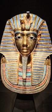 MYSTERY OF TUTANKHAMEN 体感型古代エジプト展に投稿された画像（2026/1/18）