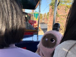 ひらかたパークに投稿された画像（2026/1/18）